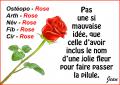 La rose...