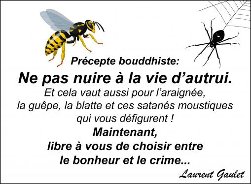 La vie d'autrui...