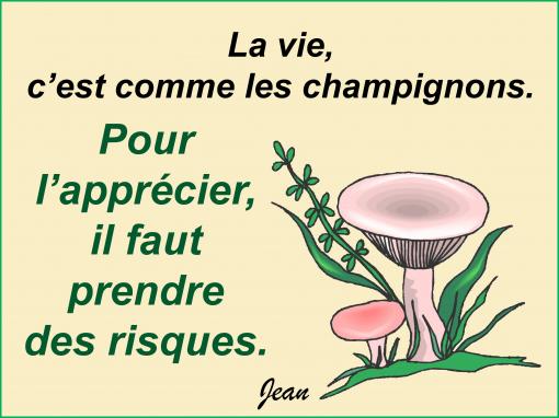 La vie les champignons...