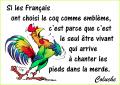 Le chant du coq...