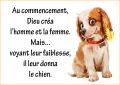 Le chien...