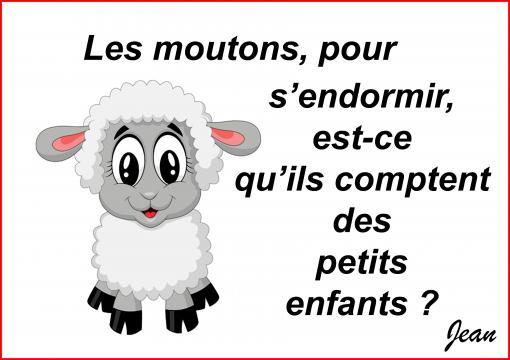 Le sommeil des moutons...