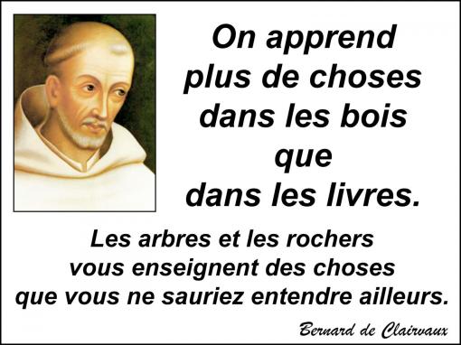 Les arbres et les rochers...