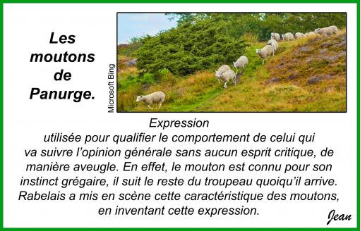 Les moutons de Panurge...