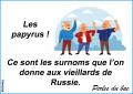 Les papyrus...