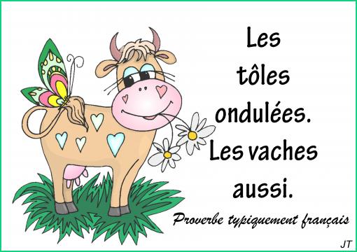 Les vaches...