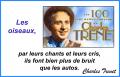 Les oiseaux...