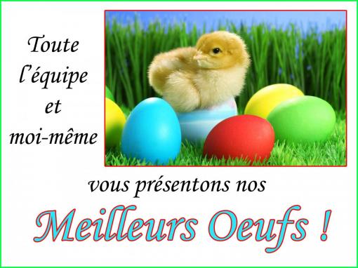 Meilleurs Oeufs !