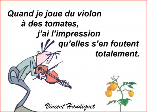 Mes tomates ne sont pas mélomanes...