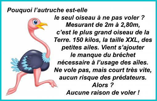 Moi voler ? Aucune raison !...