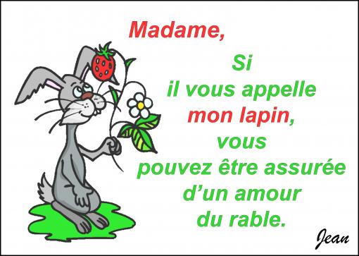 Mon lapin !...