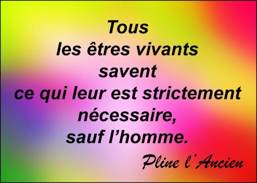 Nécessité...
