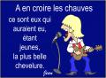 Paroles de chauves !...