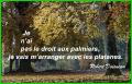 Pas le choix !...