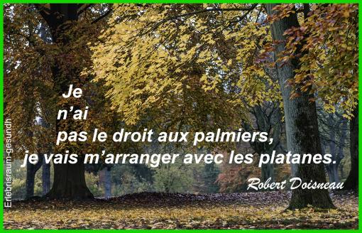 Pas le choix !...