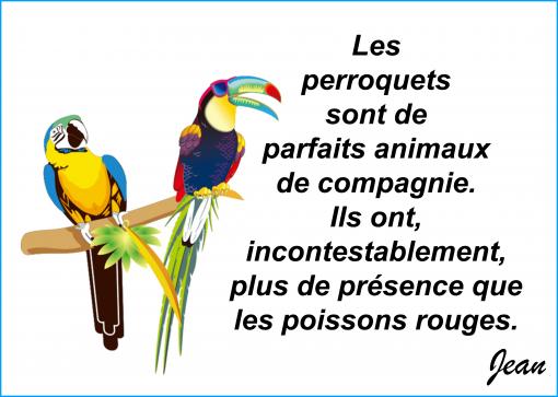 Perroquets et poissons rouges...