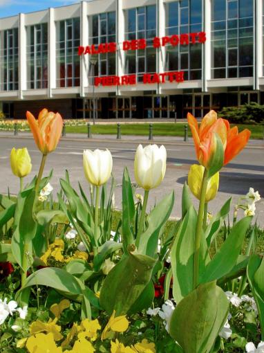 Premiers sourires du printemps dans Saint-Quentin.