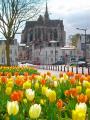 Premiers sourires du printemps dans Saint-Quentin.