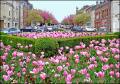 Printemps 2014 à Saint-Quentin.