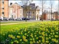 Saint-Quentin, ville fleurie.