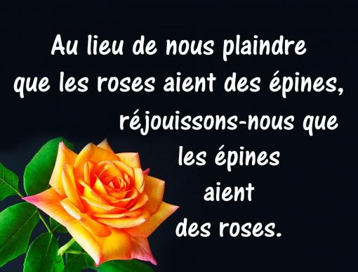 Réjouissons-nous...