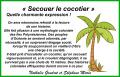 Secouer le cocotier...