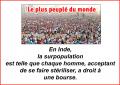 Surpopulation...