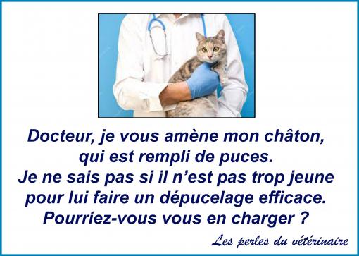 Un dépucelage...