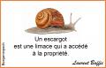 Un escargot...