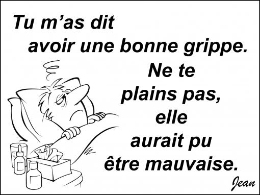 Une bonne grippe !...