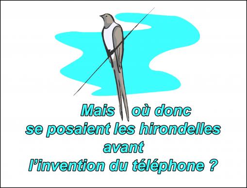 Une invention utile aux oiseaux...