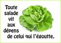 Une vie de salade...