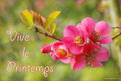 Vive le printemps !