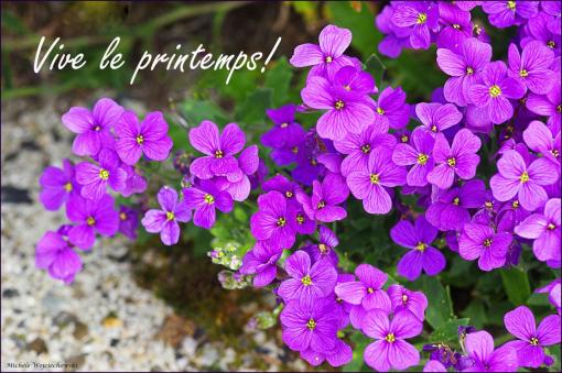 Vive le printemps !