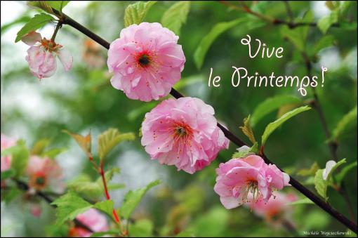 Vive le printemps !